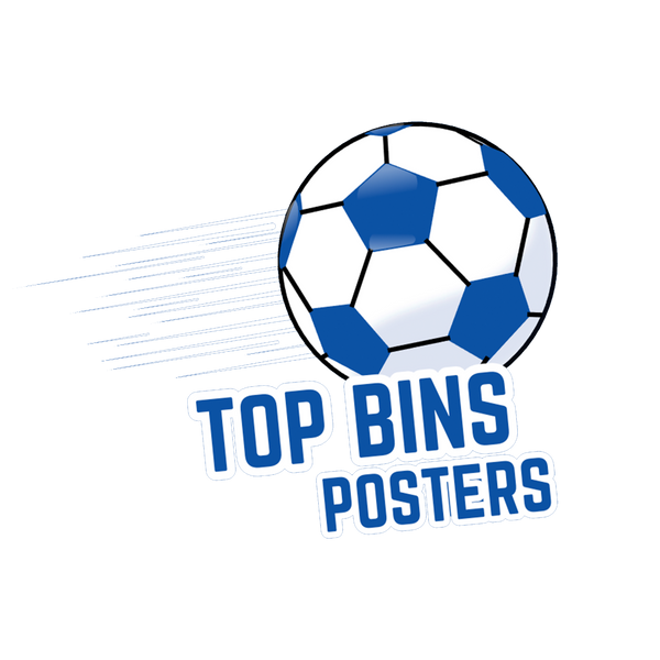 Top Bins Posters